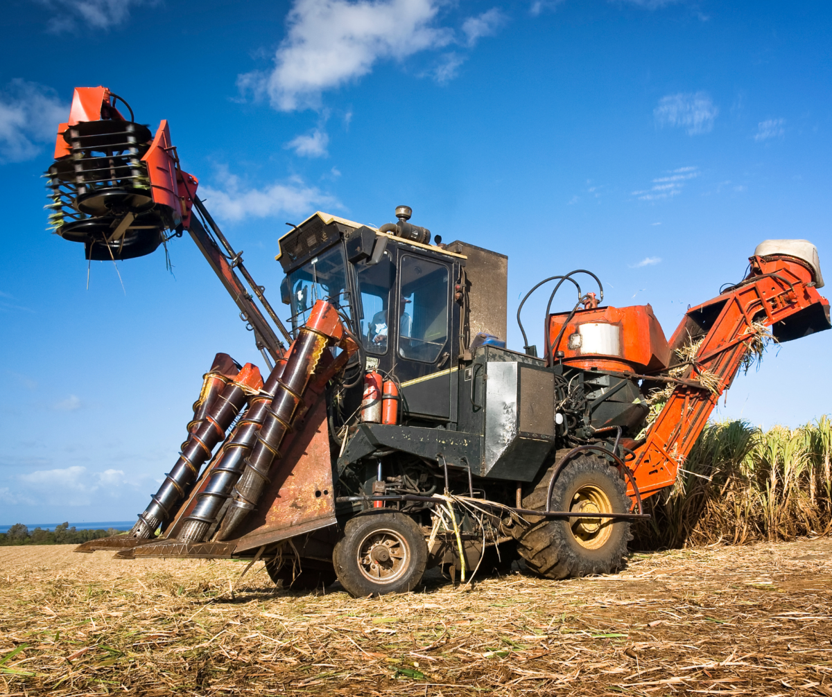 Sweet Solutions: Keeping Sugar Cane Grinding Smooth with the Right Lubrication Featured Image