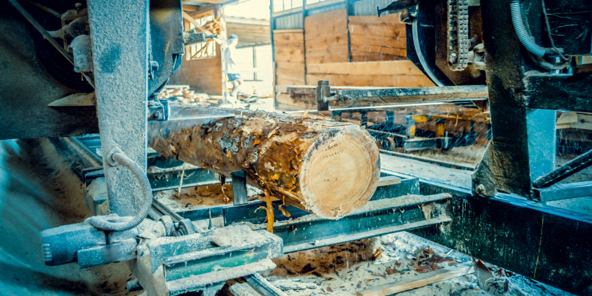 Elevate Your Timber Processing Operation with Premium Fuel & Lubricants Featured Image